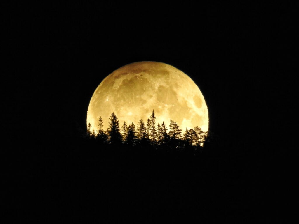 The 13. The harvest moon. The 11th hour.